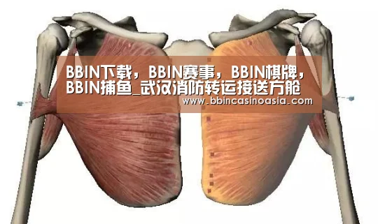 BBIN下载，BBIN赛事，BBIN棋牌，BBIN捕鱼