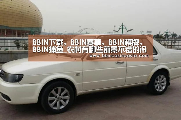 BBIN下载,BBIN赛事,BBIN棋牌,BBIN捕鱼_农村有哪些前景不错的冷门创业项目?推荐四个给您!(图2) BBIN下载,BBIN赛事,BBIN棋牌,BBIN捕鱼