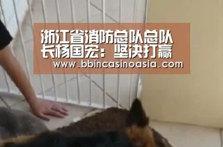 BBIN下载，BBIN赛事，BBIN棋牌，BBIN捕鱼