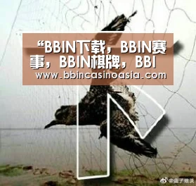 “BBIN下载,BBIN赛事,BBIN棋牌,BBIN捕鱼”麻辣鸡排的做法_麻辣鸡排怎么做_厨娘宋宋的菜谱(图2) BBIN下载,BBIN赛事,BBIN棋牌,BBIN捕鱼