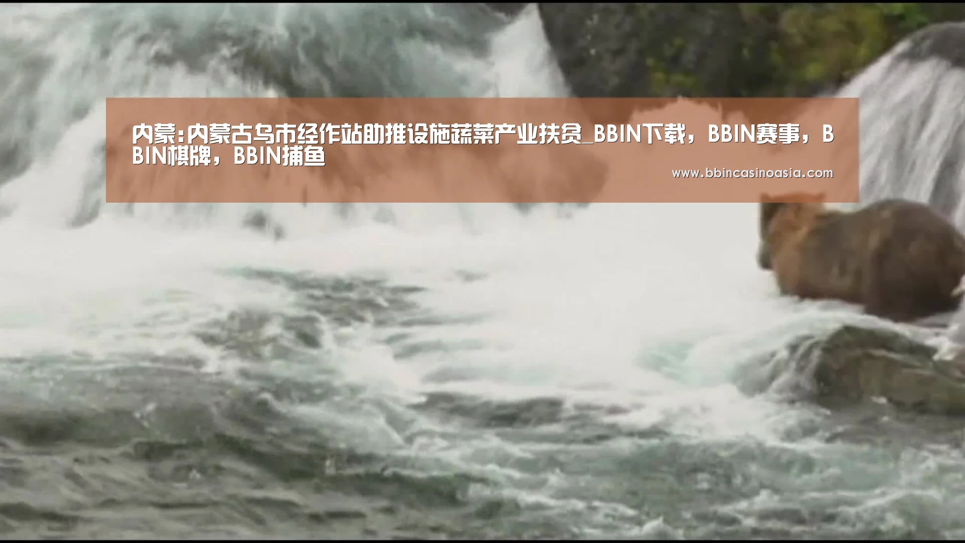 内蒙:内蒙古乌市经作站助推设施蔬菜产业扶贫_BBIN下载,BBIN赛事,BBIN棋牌,BBIN捕鱼(图3) BBIN下载,BBIN赛事,BBIN棋牌,BBIN捕鱼