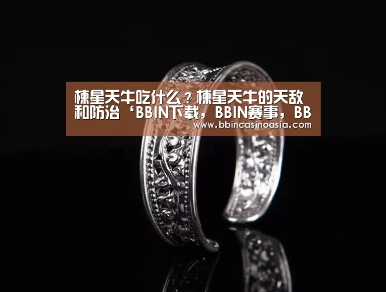 BBIN下载，BBIN赛事，BBIN棋牌，BBIN捕鱼