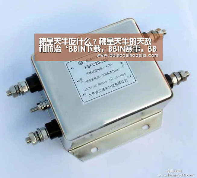 BBIN下载，BBIN赛事，BBIN棋牌，BBIN捕鱼
