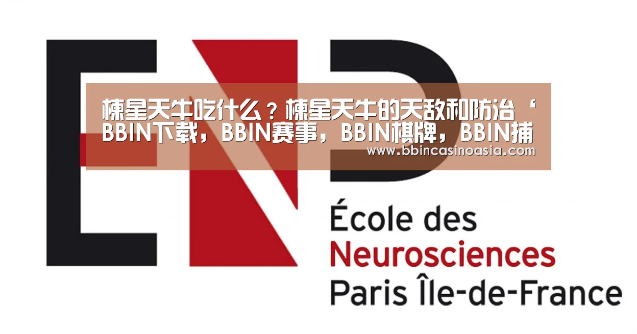 BBIN下载，BBIN赛事，BBIN棋牌，BBIN捕鱼