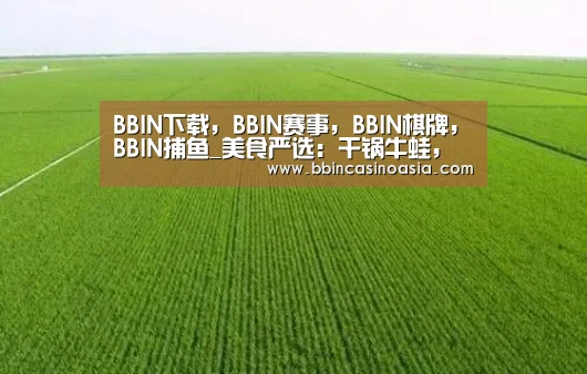 BBIN下载，BBIN赛事，BBIN棋牌，BBIN捕鱼