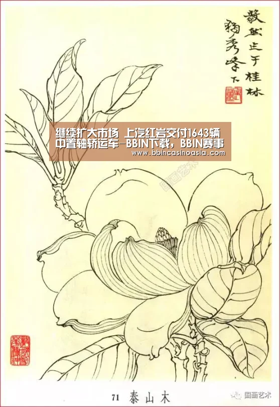 继续扩大市场 上汽红岩交付1643辆中置轴轿运车-BBIN下载,BBIN赛事,BBIN棋牌,BBIN捕鱼(图1) BBIN下载,BBIN赛事,BBIN棋牌,BBIN捕鱼