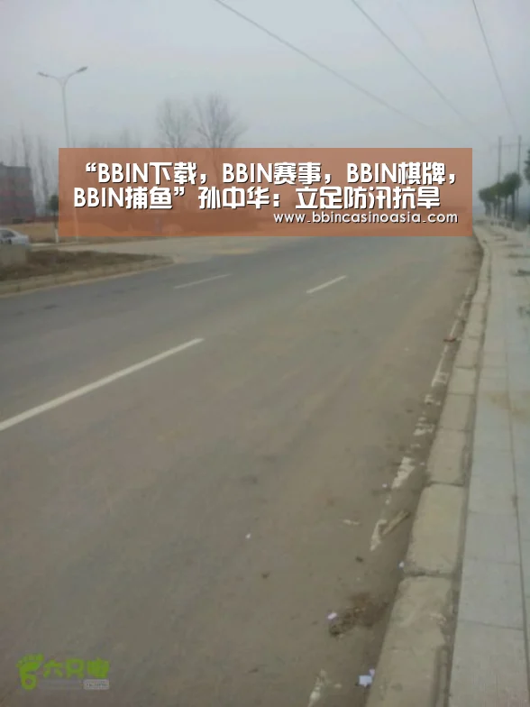 “BBIN下载,BBIN赛事,BBIN棋牌,BBIN捕鱼”孙中华:立足防汛抗旱保安全 狠抓结构调整促发展(图1) BBIN下载,BBIN赛事,BBIN棋牌,BBIN捕鱼