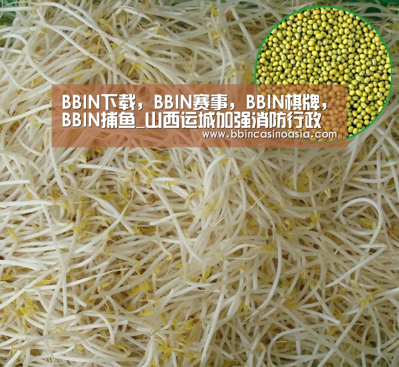 BBIN下载,BBIN赛事,BBIN棋牌,BBIN捕鱼_山西运城加强消防行政审批窗口建设(图4) BBIN下载,BBIN赛事,BBIN棋牌,BBIN捕鱼